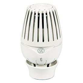 Thermostat-Köpfe